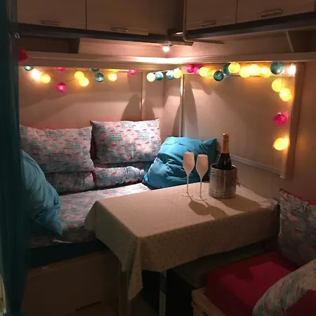 Gardencaravan Near Ghent In Green Area Exterior photo