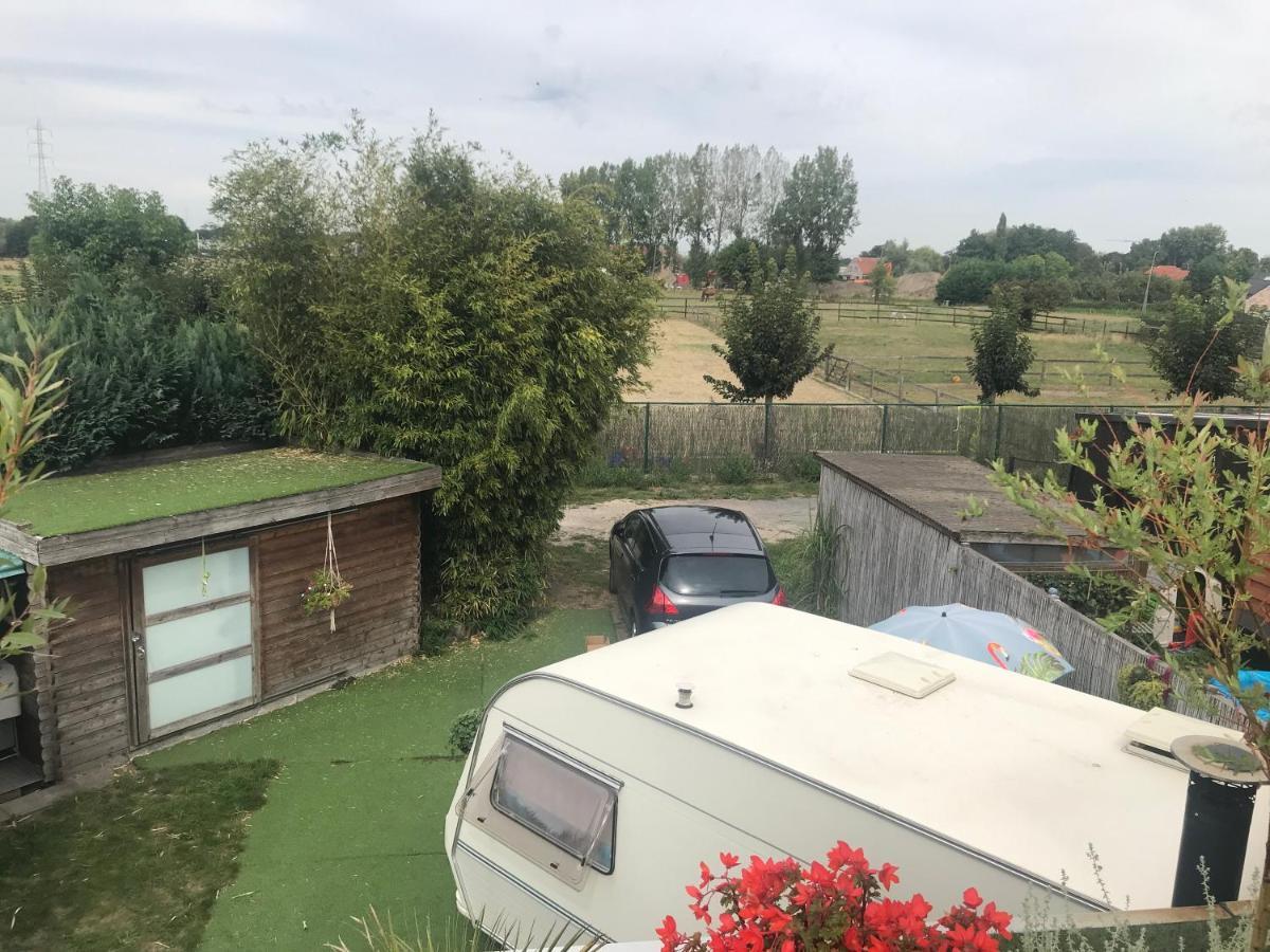 Gardencaravan Near In Area Campsite